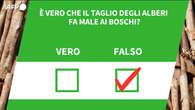 ANSA VERIFIED - E' vero che il taglio degli alberi fa male ai boschi?