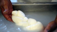 Mozzarella Bufala Dop alla fiera Anuga di Colonia