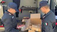 In box 613 chili di botti ed esplosivi, due arresti nel Barese