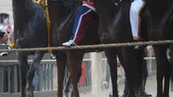 Palio di Siena, vince contrada Aquila, non accadeva dal 1992