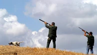 Ambientalisti sul piede di guerra contro il ddl caccia, lo 'sparatutto'