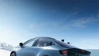 Nuova Leaf Nismo
