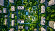 Foreste attorno città, scudo contro temperature estreme e inquinamento urbano