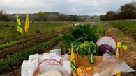 Per il cibo sano e la prevenzione, nelle Marche arriva patto medici e agricoltori