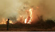 Nel Paraguay in fiamme 84 mila ettari di foresta primaria