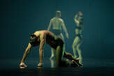 Abissi ed enigma, 'Deepstaria' di Wayne McGregor a Modena