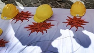 Consulenti del lavoro, -1% denunce di infortuni nel 2024