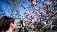 Da domani breve anticipo di primavera,weekend mite e con il sole