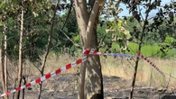 Cadavere tra sterpaglie in fiamme nella Bergamasca