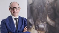 Nomisma-Arcadia, Bufala Dop percepita come 'cibo romantico'