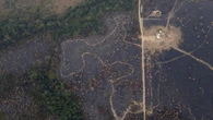 Amazzonia brasiliana, degrado forestale salito al 163% in 2 anni