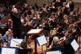 Noseda, 'la Scala è un golden stage, l'Italia mi manca un po''