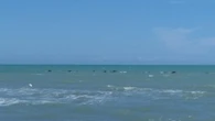 Da spiaggia pubblica a privata, sequestrati 180 ombrelloni
