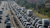 Gattino bloccato in autostrada da 5 giorni a Rimini, salvato