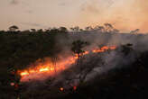 Brasile, foreste bruciate in incendi aumentate del 79% nel 2024