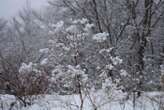 Notte di freddo intenso sull'Appennino, a Castelluccio -18,4