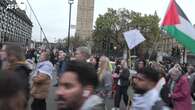 Manifestazione pro Palestina a Londra, in centinaia davanti al Parlamento