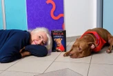 La clinica del cane Palla sul grande schermo