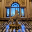 Agli Uffizi nuova luce per sala Niobe e torna il cavallo romano