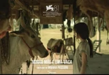 Al Festival di Venezia un film sul dramma dei roghi nel Pantanal