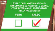 Ansa VERIFIED - E' vero che i nostri antenati mangiavano soprattutto carne, come affermano i sostenitori della paleodieta?