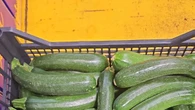 Clima favorisce produzioni con prezzi in calo al mercato, zucchine -11%