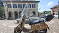 Vespa e Ducati degli anni Ottanta protagoniste di due aste su Catawiki