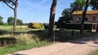 Vitale (Agea): "Nel 2025 erogazioni in agricoltura per 10 miliardi"