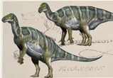 Iguanodonti più antichi del previsto, comparsi oltre 186 milioni di anni fa
