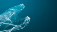 Rischi per la salute anche dalle particelle delle bioplastiche