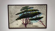 Da Pace a New York i pini marittimi di Julian Schnabel