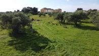 Estate a Selinunte, musica e teatro oltre 200 artisti per 56 appuntamenti