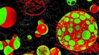 Si lavora per ricostruire l'antenato di tutte le cellule