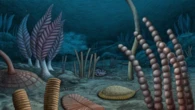 Organismi fossili degli abissi riscrivono la storia dell'evoluzione