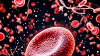 Un esame del sangue prevede l'Alzheimer con anni d'anticipo