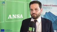 De Bin: "Importante la promozione all'estero delle pmi e del made in Italy"