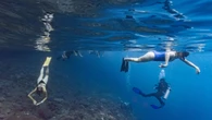 Il turismo subacqueo è nemico dei coralli, un danno ogni 4 minuti