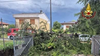 Maltempo in Fvg, un centinaio le richieste di soccorso ai vigili del fuoco