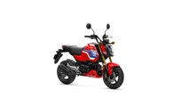 Honda completa la gamma 2026 con la Msx125 Grom in livrea Tricolour