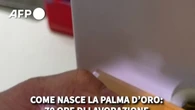 Come nasce la Palma d'oro: 70 ore di lavorazione per il trofeo di Cannes