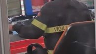 Crolla casa nell'Anconetano, una persona estratta viva dai vigili del fuoco