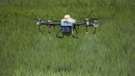 Primo sì dai Paesi Ue all'uso dei droni per i pesticidi