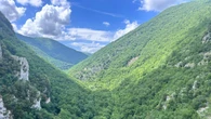 L'Italia è diventata una nazione forestale, superati i 100mila km quadrati