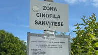Cacciatore spara a una quaglia ma centra e ferisce un runner