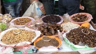 Mangiare insetti non è una novità, avveniva già nella preistoria
