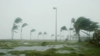 Il cambiamento climatico motore delle epidemie