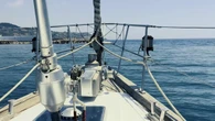 Avvistata al largo di Sanremo una famiglia di capodogli
