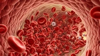 Da un'analisi del sangue la spia dell’età biologica di 11 organi
