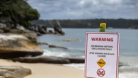 Uomo attaccato da uno squalo in Australia, è in condizioni critiche