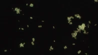 Verso nuovi materiali che usano la luce per produrre combustibili